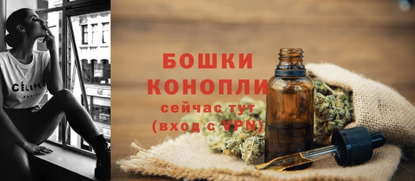 apvp Горнозаводск