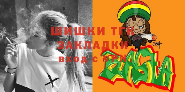 apvp Горнозаводск