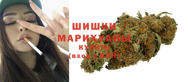 apvp Горнозаводск