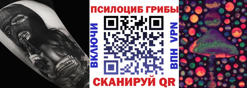 Галлюциногенные грибы мицелий даркнет сайт мориарти состав Невинномысск